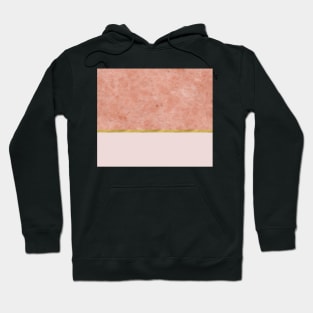 Ettore rosa on blush pink & gold Hoodie